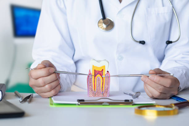 Best Urgent Dental Care for Toothache in Lake Wildwood, CA